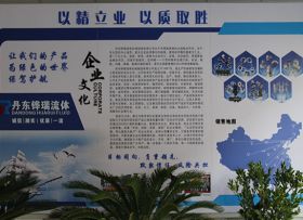 公司實(shí)力